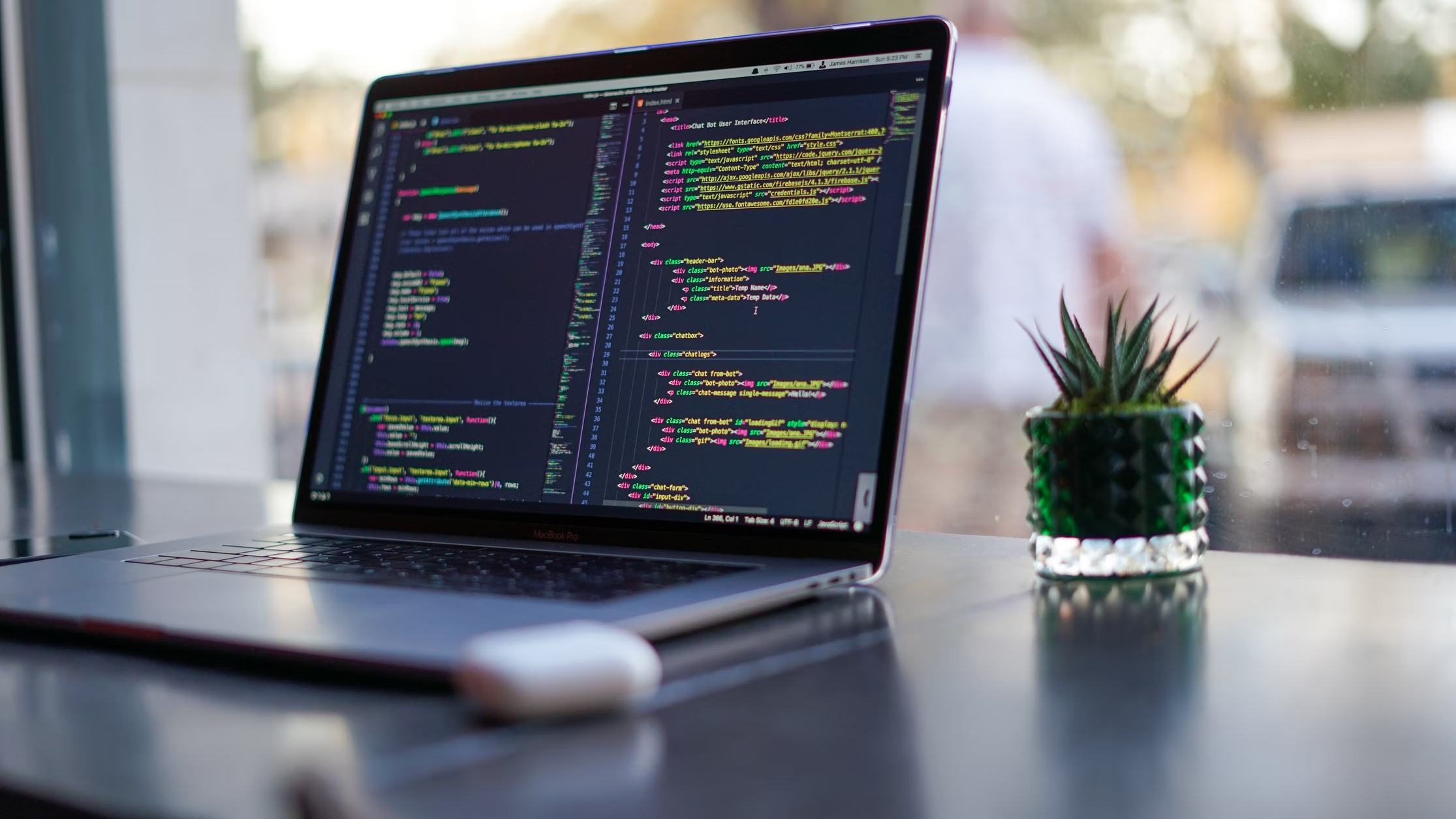 A computer and a plant on a table.